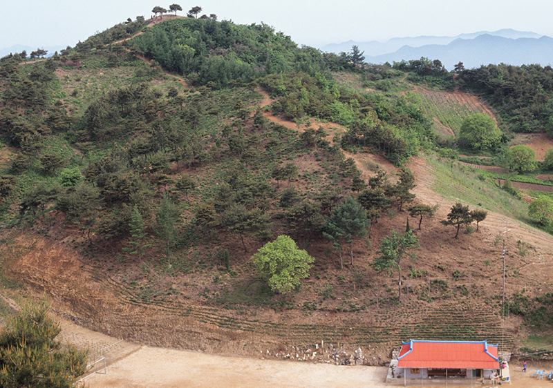 슬라이드 이미지