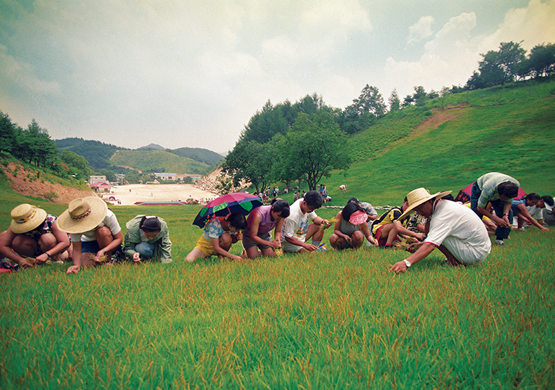 슬라이드 이미지