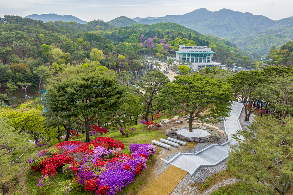 소나무 숲으로 둘러싸인 월명동 자연성전 기도동산의 자연 환경