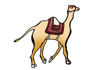 낙타 일러스트